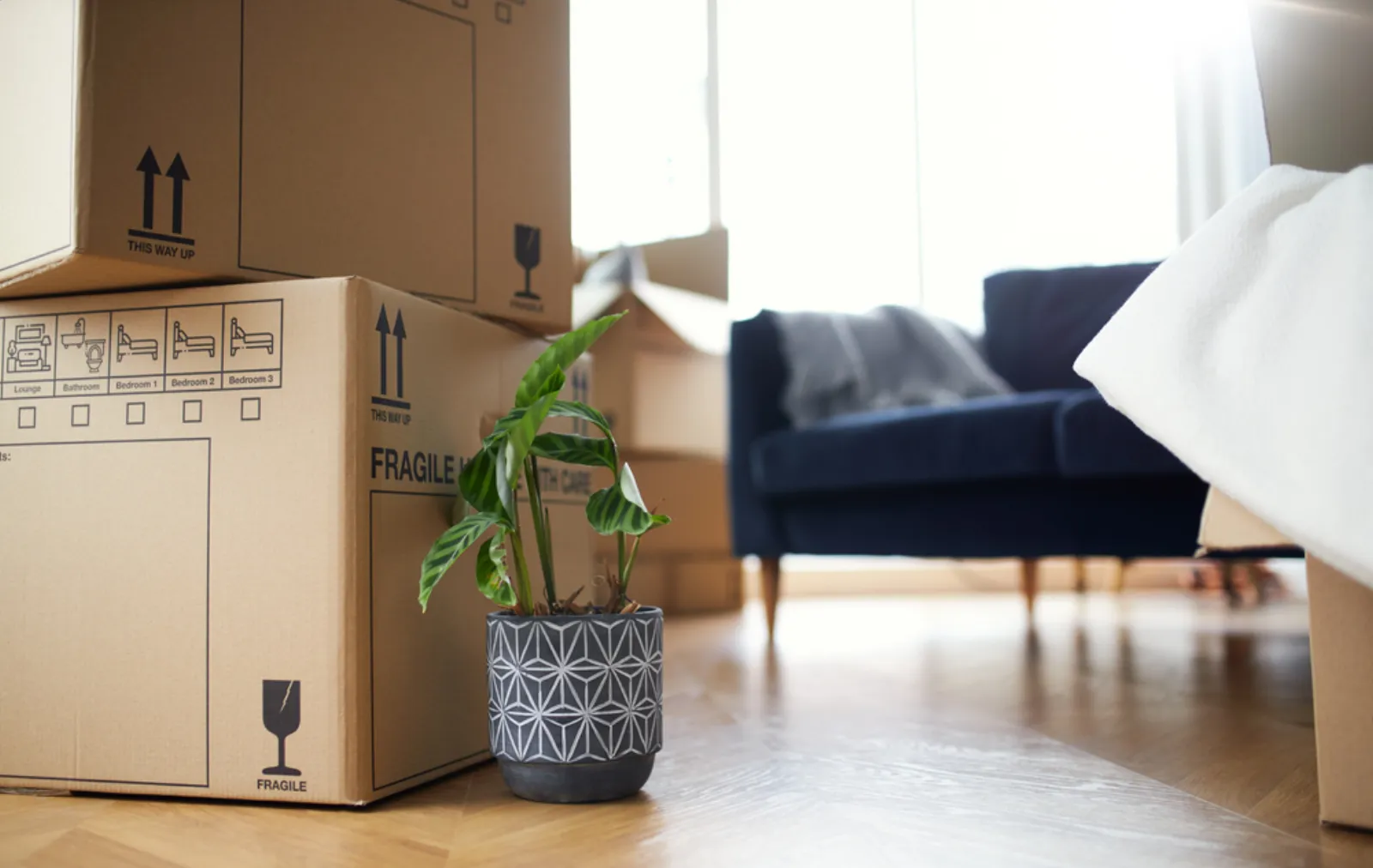 Answers Before You Book — Hervey Bay Door 2 Door
