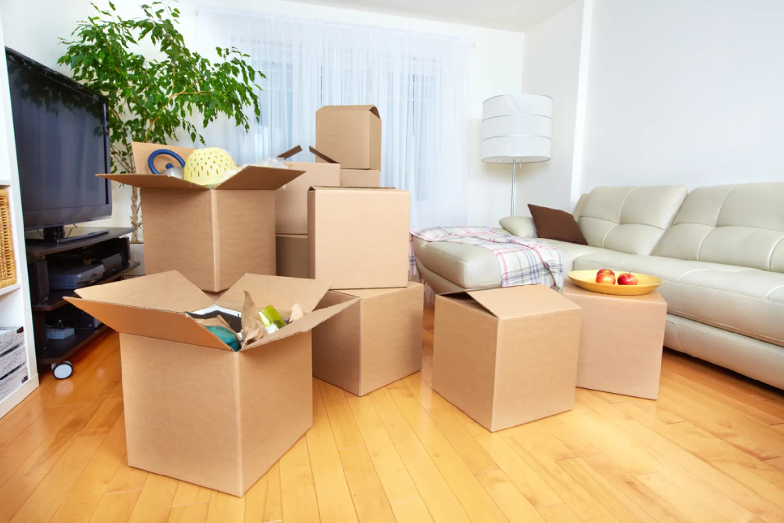 Office & Business Relocations in Burrum Heads — Hervey Bay Door 2 Door