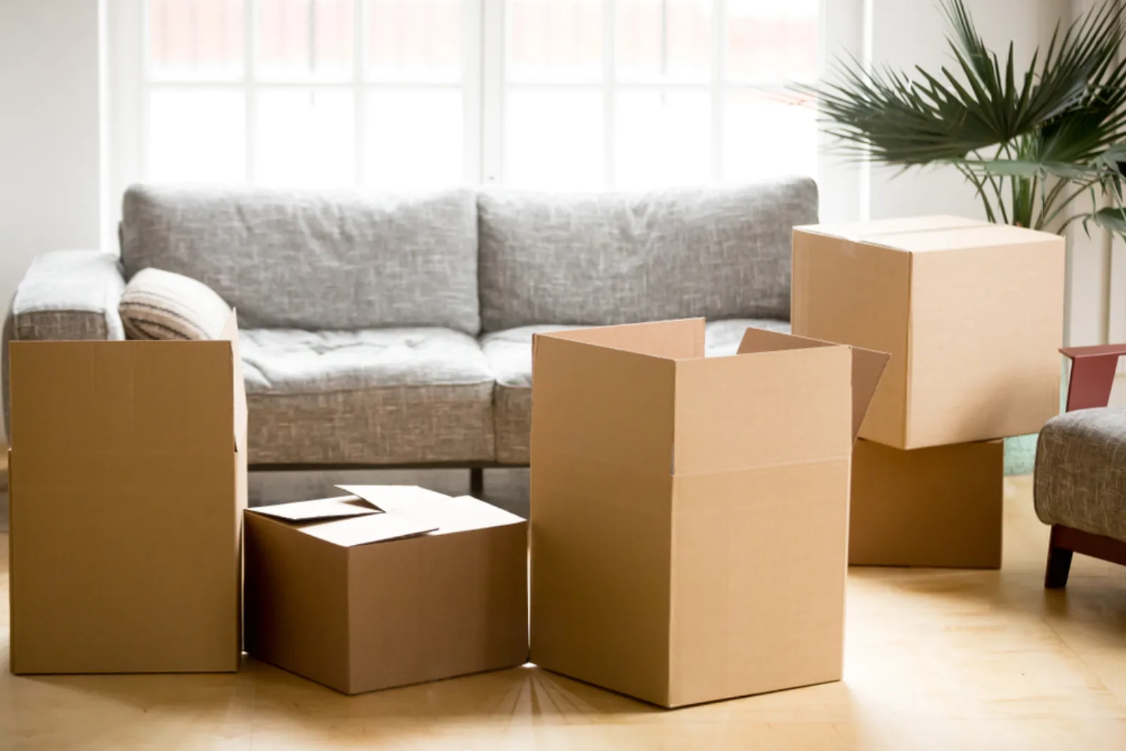 Residential Removals on the Fraser Coast — Hervey Bay Door 2 Door